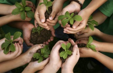 Ecología
