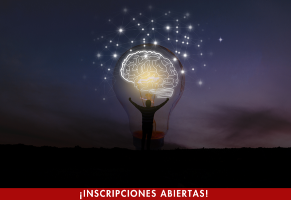 LA PROPIEDAD INTELECTUAL EN LAS ORGANIZACIONES: GESTIÓN Y PROTECCIÓN 1 LA PROPIEDAD INTELECTUAL EN LAS ORGANIZACIONES: GESTIÓN Y PROTECCIÓN 1