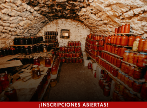 DIPLOMADO DESARROLLO Y CONSERVACIÓN DE ALIMENTOS 3 DIPLOMADO DESARROLLO Y CONSERVACIÓN DE ALIMENTOS 3