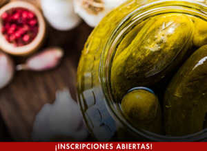 DIPLOMADO DESARROLLO Y CONSERVACIÓN DE ALIMENTOS 1