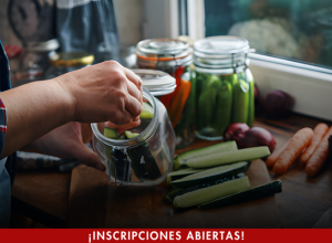DIPLOMADO DESARROLLO Y CONSERVACIÓN DE ALIMENTOS 2