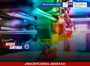Formación 8