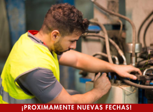 Formación 5