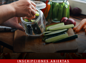 DIPLOMADO DESARROLLO Y CONSERVACIÓN DE ALIMENTOS 2