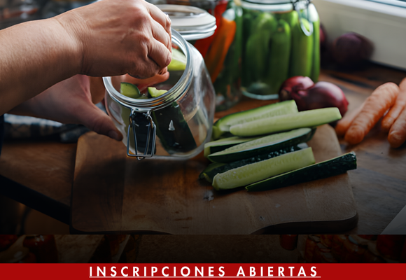 DIPLOMADO DESARROLLO Y CONSERVACIÓN DE ALIMENTOS 1